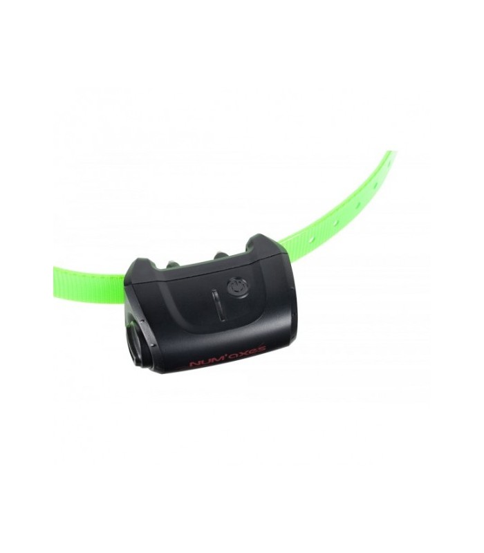 CANICOM 5 RECEIVER (DARK GREEN)