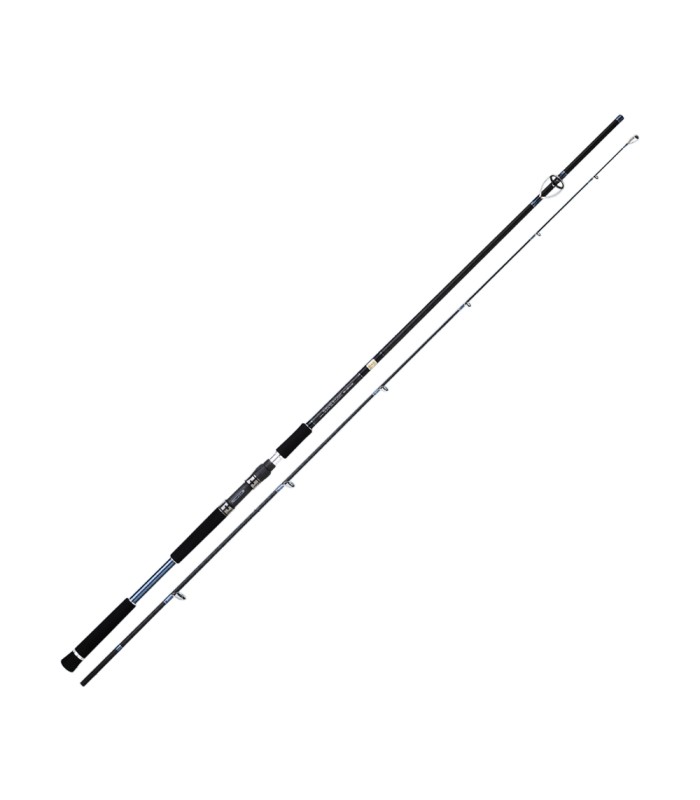 ECOODA Rapsodia ERLSJ Light Shore/Shore Jigging Rods - 15 - 60 gr - tokatlis.gr