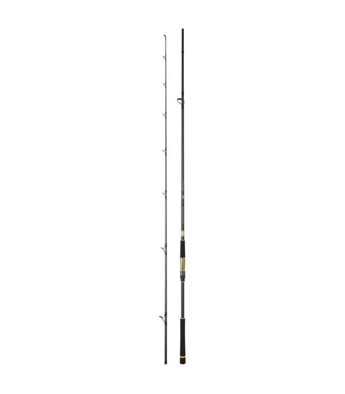 Daiwa Crosscast Shore Jigging - tokatlis.gr