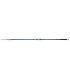 Daiwa Sealine Tele Surf - tokatlis.gr