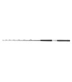 Daiwa Sealine X Trolling