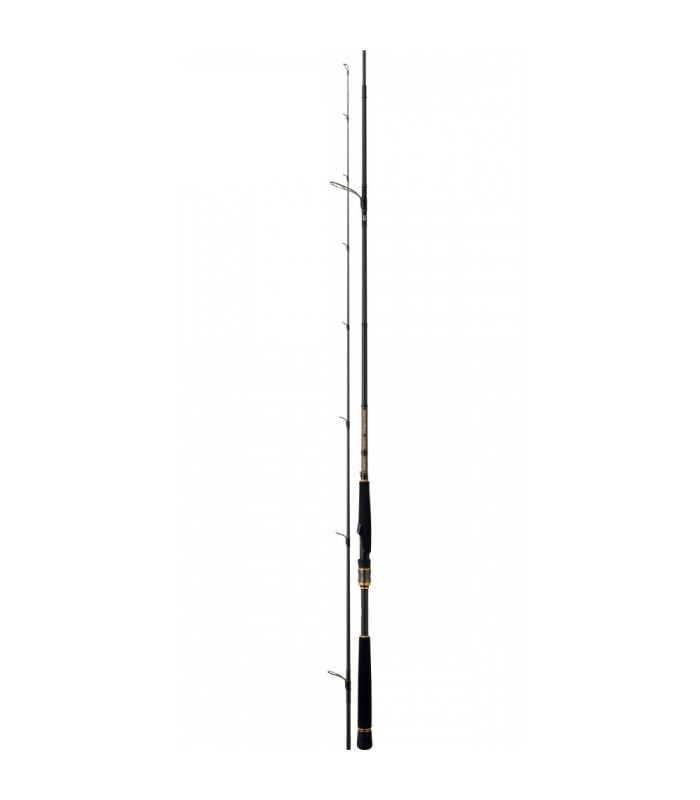 Daiwa Morethan Branzino Ags Shore Battle Commander II - tokatlis.gr