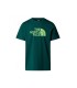 Ανδρική κοντομάνικη μπλούζα Box NSE Celebration Tee