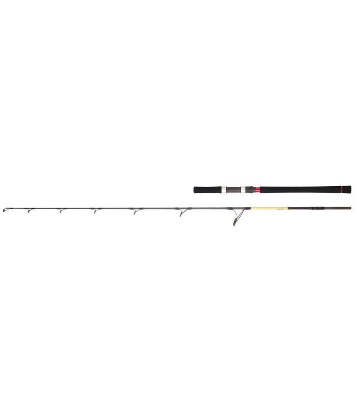 Daiwa Grandwave Jigging - tokatlis.gr