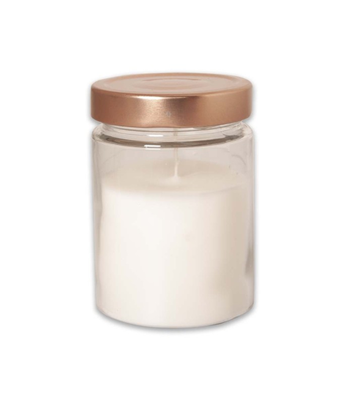 Κερί Pantou (350ml) για Κουνούπια, Μύγες, Μέλισσες - tokatlis.gr