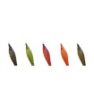 DTD Soft Natural Kanjac 1.5/2.0