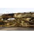 Franchi Affinity 3.5 Elite Bronze  Super Magnum - tokatlis.gr