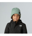 The North Face Kids  Salty Lined Beanie Σκούφος Slate Moss