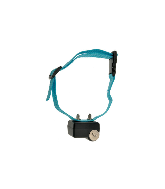 CANICALM FIRST ΚΟΛΑΡΟ