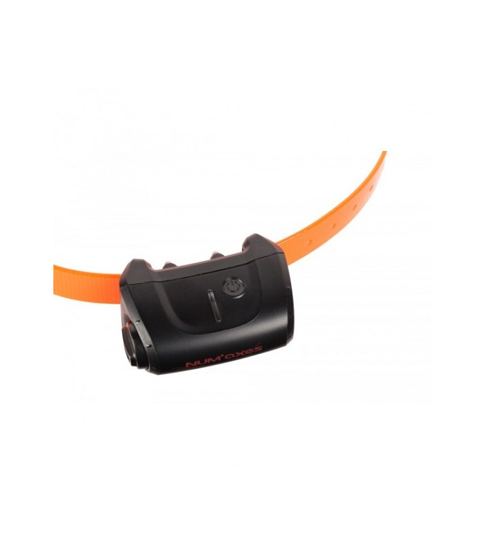CANICOM 5 RECEIVER (ORANGE)