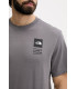The North Face Ανδρικό Βαμβακερό T-shirt Celebration Γκρι | tokatlis.gr