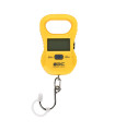 Golden Catch Mini Ψηφιακή Ζυγαριά 25kg