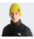 The North Face Dock Worker Recycled Beanie Πλεκτός Σκούφος | tokatlis.gr