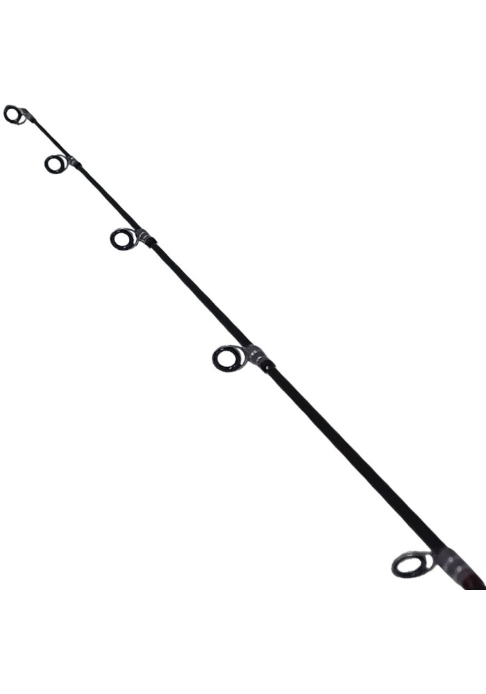 Καλάμι Jigging Kali Kunnan Delyrian 1.90m Fuji Fazlite (200gr / 300gr) | tokatlis.gr